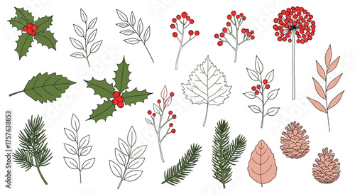 Diverse collection of illustrated botanical elements, featuring vibrant autumn leaves, festive winter holly berries, intricate pine cones, and delicate plant branches, ideal for seasonal nature-themed