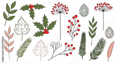 Elegant set of illustrated winter foliage with vibrant red berries, green holly, pine branches, and various leaves, ideal for festive holiday graphic projects and seasonal designs
