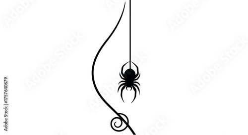 Delicate spider dangling on a thin thread with an elegant swirl