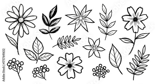 Hand-drawn botanical elements collection. Elegant black and white sketches of various flowers, leaves, and berry branches, ideal for nature-inspired graphic design