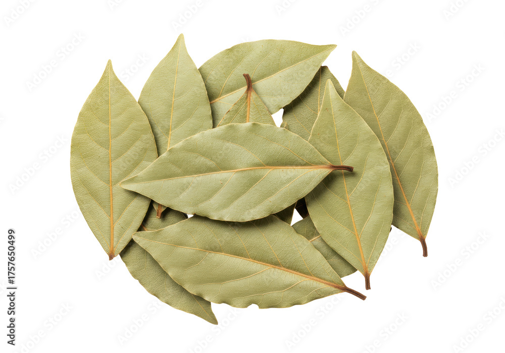 Naklejka premium Pile of dried bay leaves PNG isolated on transparent background, aromatic herb for cooking and seasoning food
