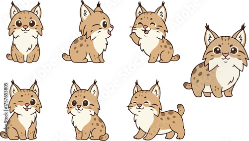 vector illustration of lynx funny cute cartoon mascot character cartoon with 7 poses 