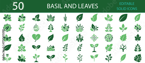 Basil and leaves solid fill icons set of 50 vector symbols for herbal plants, foliage, greenery, botany, and organic nature. Editable solid green glyph icons for design, agriculture, and eco projects