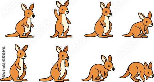 vector illustration of kangaroo funny cute cartoon mascot character cartoon with 8 poses 