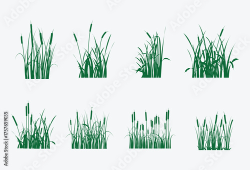 green Cattails vector art with white background, graphics