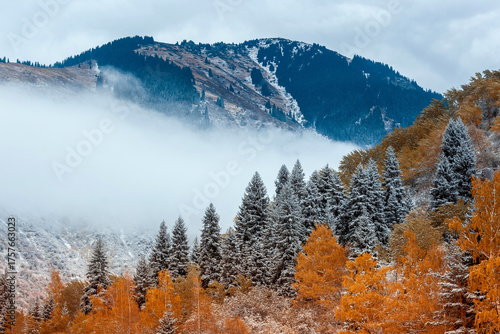 Winter mountain landscape with trees with orange leaves near Almaty, Kazakhstan