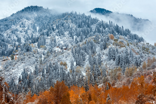 Winter mountain landscape with trees with orange leaves near Almaty, Kazakhstan