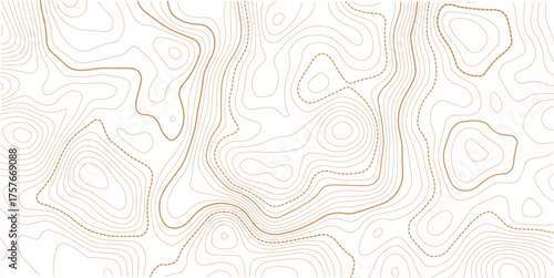 Black and white lines seamless Topographic map patterns. Vintage outdoors style. The stylized height of the topographic map contour in lines and contours isolated on transparent.