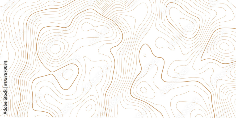 Fototapeta premium Topographic map background. Geographic line map with elevation assignments. Contour background geographic grid.