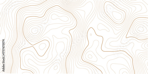 Topographic map background. Geographic line map with elevation assignments. Contour background geographic grid.