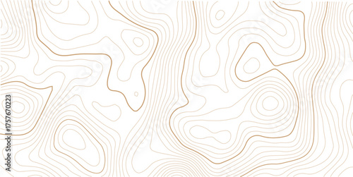 Topographic map background. Geographic line map with elevation assignments. Contour background geographic grid.
