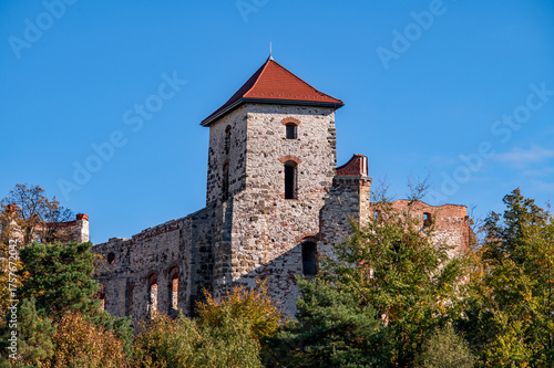 Zamek Tenczyn