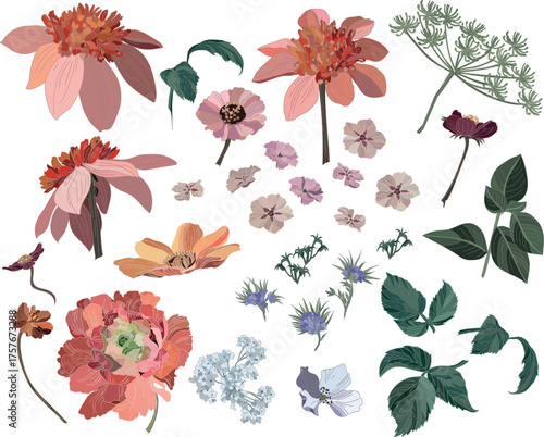 Set of flowers and leaves on a transparent background in vintage style