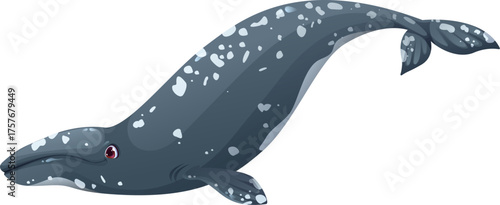 Cartoon cute gray whale whale character. Underwater life big mammal cute character, ocean marine animal happy vector cartoon mascot. Ocean fauna whale specie funny isolated personage