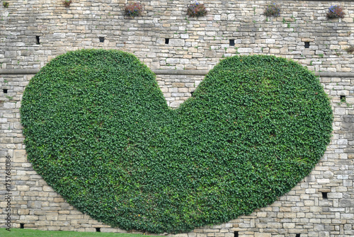 
photo of a green ivy heart on a stone wall