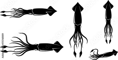 Collection of squid silhouettes in various poses for marine themes