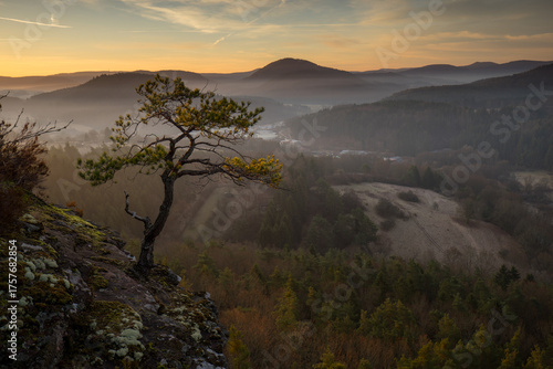 Hochstein in Dahn im herbstlichen Sonnenaufgang mit Nebel in den Tälern