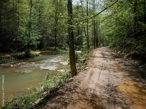Konstfotografi Dirt road through Appalachian forest in West Virginia in Hatfield McCoy trail sy