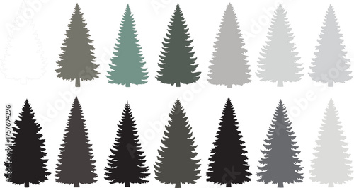 Diverse conifer tree silhouettes in shades of gray for winter and forest designs vector