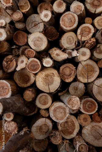 Logs of various sizes and shades of brown are neatly stacked together, forming a rustic and natural background with visible annual rings and wood grain