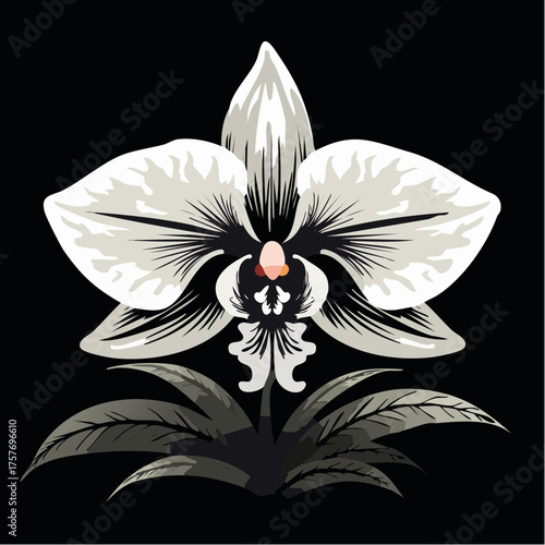 elegant white moth orchid repeat pattern for refined botanical prints home décor and stationery