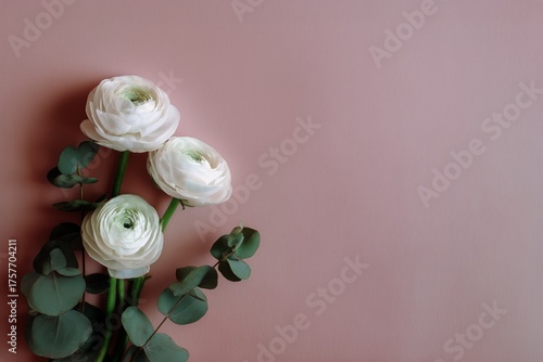 Elegant White Ranunculus Flowers With Green Leaves on Soft Pink Background
