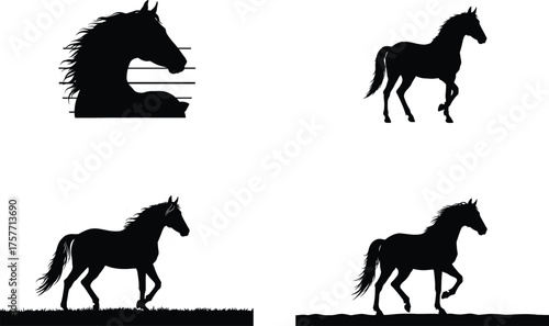 Silhouette depictions of horses in various poses, showcasing different gaits and stances against a white background.