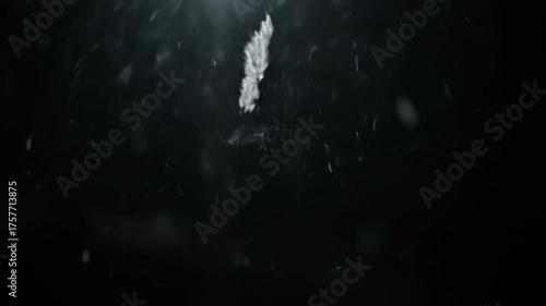 Atmospheric close-up of large snow flakes slowly swirling and falling through the dark night sky illuminated by a soft glow nature, movement, seasonal