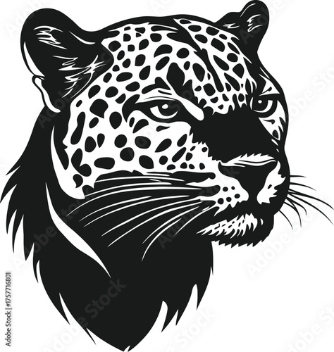 Leopard head vector illustration, black and white jaguar portrait, wild cat mascot graphic for sports apparel and logo design, eps format