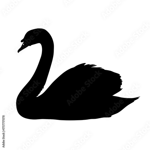 Minimalist black swan silhouette vector, graceful water bird profile isolated on white background, elegant waterfowl graphic design element.