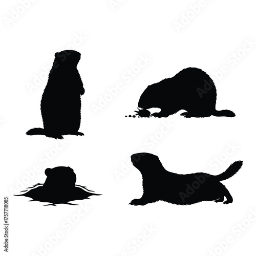 Silhouette collection of groundhog poses for wildlife and nature projects vector