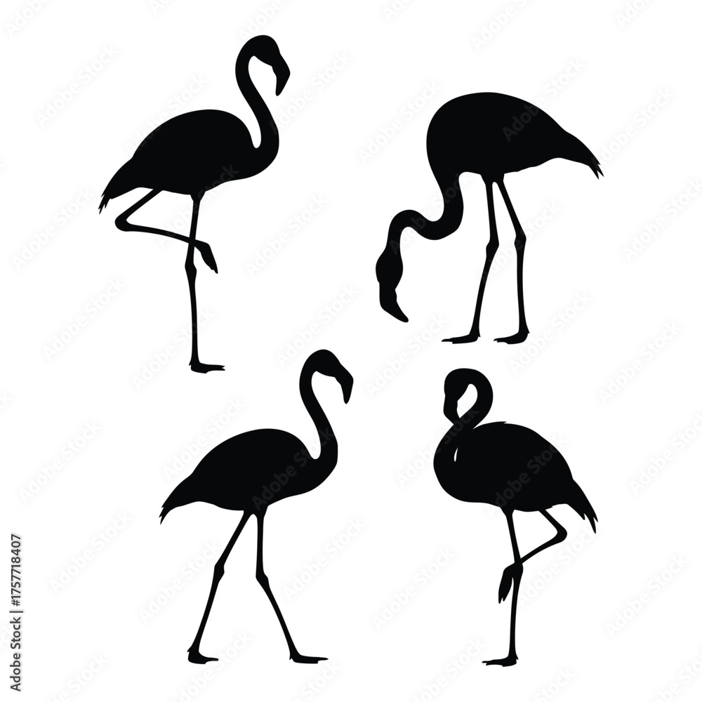 Obraz premium Elegant flamingo silhouettes collection set of four graceful birds in diverse poses vector