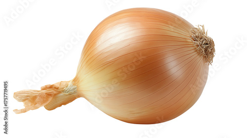 A single fresh onion rests on a clean white background or transparent png , showcasing its smooth golden skin and natural, crisp texture.