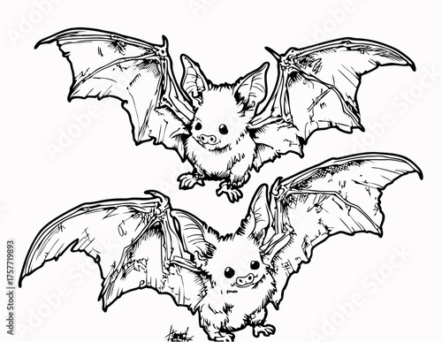 Adorable cartoon baby bats flying, black and white line art illustration. Cute Halloween animal design for coloring.