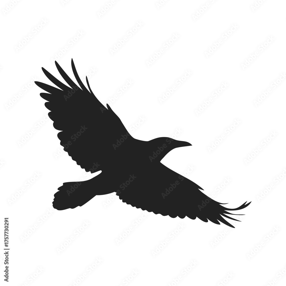 Obraz premium flying birds silhouettes