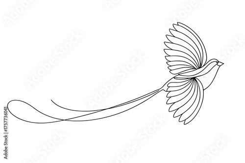 Quetzal bird in flight with spiral tail in minimalist line art  