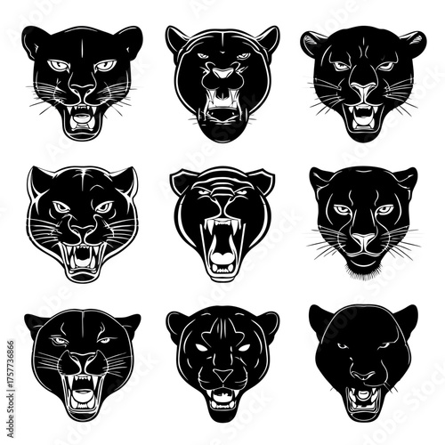 Powerful black panther and jaguar heads vector set, fierce wild big cat faces roaring and growling, aggressive animal mascots.
