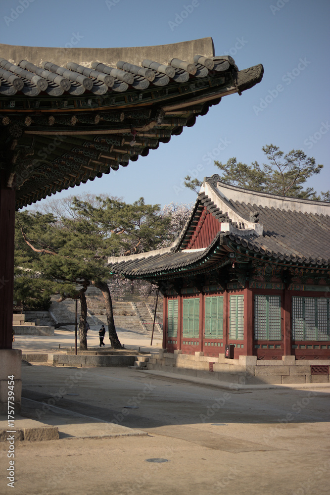 Fototapeta premium Corea del Sur arquitectura y templos