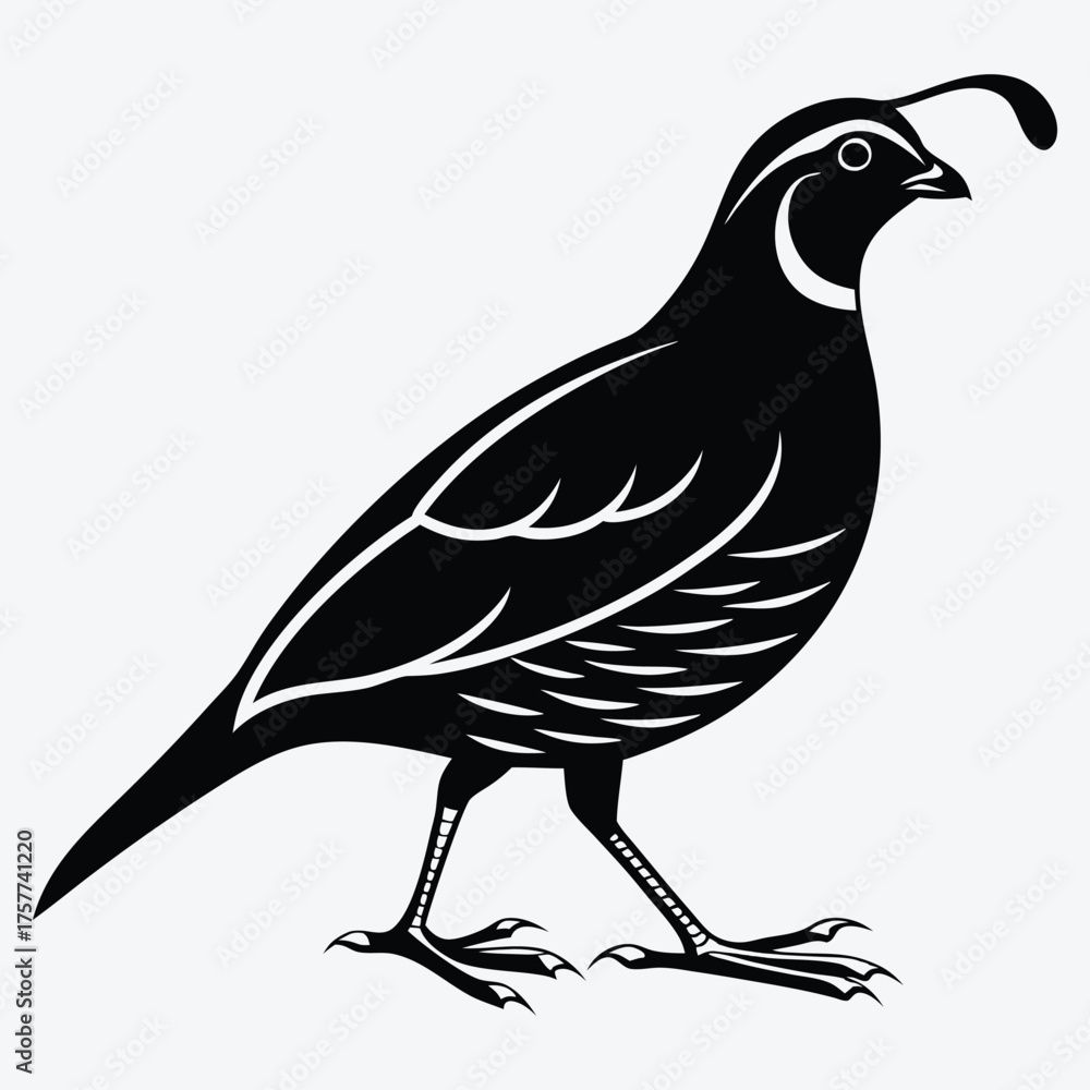 Fototapeta premium Quail line art White background illustration Generative Ai