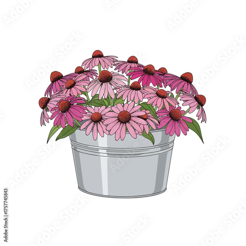 Silver bucket filled with pink coneflowers and daisies