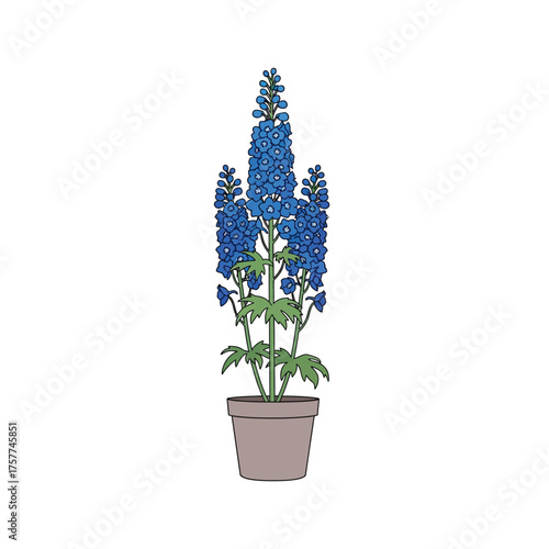 Tall blue delphinium flower in a pot illustration