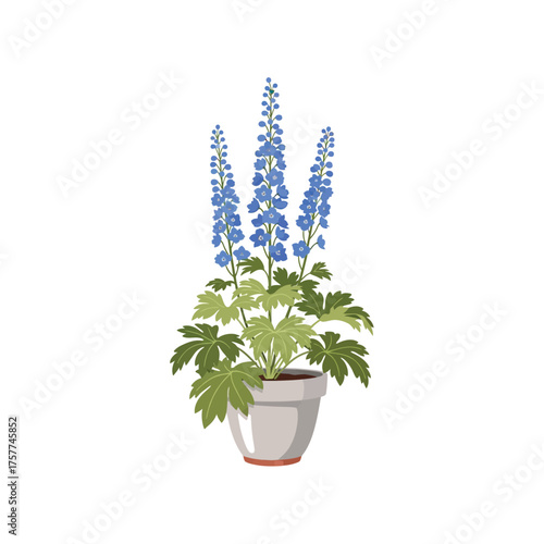 Tall blue delphinium flowers in a white pot illustration