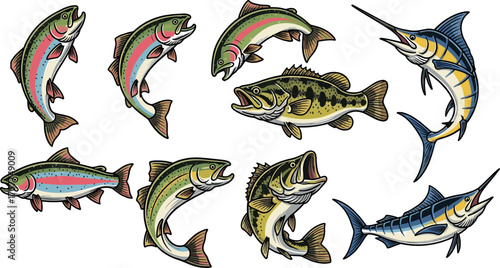 Collection of Various Fish Species Featuring Salmon, Bass, and Marlin Illustrations