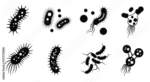 Variety of black and white illustrated depictions of different bacteria shapes