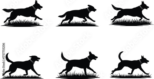 running dog silhouettes, canine motion vector, animal locomotion icon set, cad drawing flat vector illustration