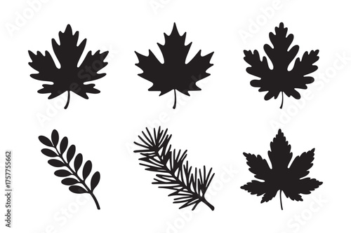 Collection of black silhouette autumn leaves and pine needles