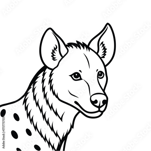 Detailed hyena illustration vector outline drawing wildlife animal isolated design