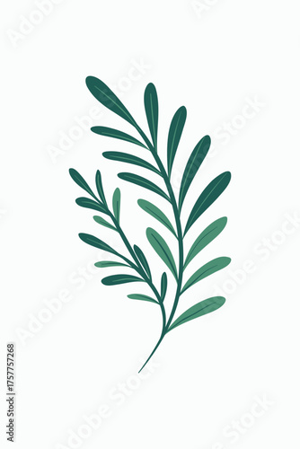 Green leaf illustration on white background botanical minimalist design element
