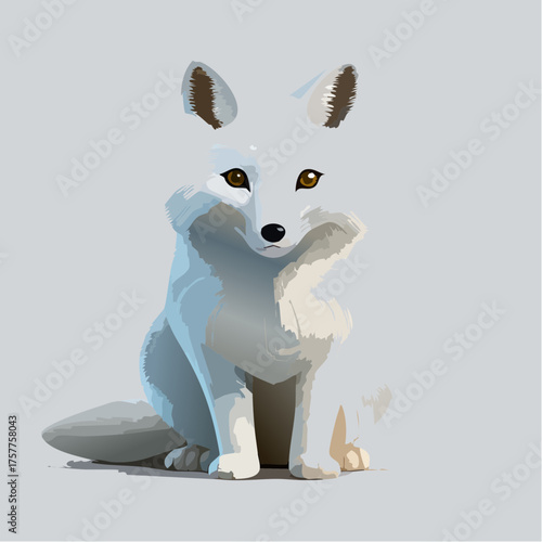 arctic fox animal sitting calmly