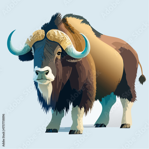 Bovine animal with shaggy fur and horns